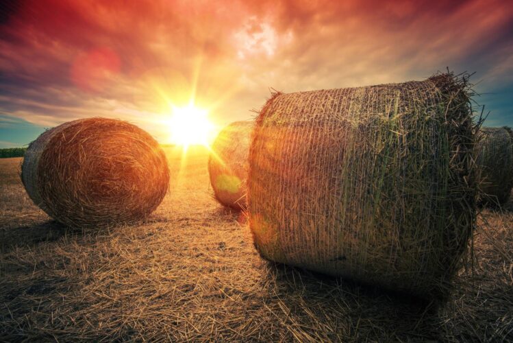 Outdoor Hay Storage Ideas